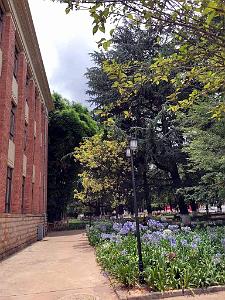 Kunming - Universite du Yunnan (52)